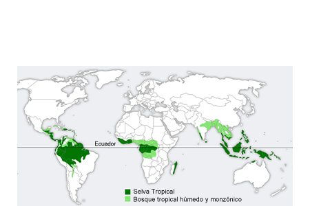 Selva tropical mapa
